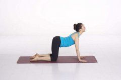 瑜伽知识/Knowledge