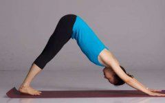 瑜伽知识/Knowledge