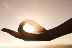 瑜伽知识/Knowledge