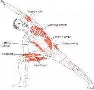 瑜伽知识/Knowledge