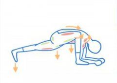 瑜伽知识/Knowledge