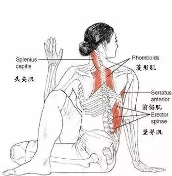 瑜伽体式大全 半脊柱扭转式瑜伽动作精讲