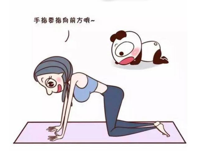 瘦小腹瑜伽体式动作 最优雅的瑜伽体式之一2