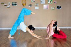 瑜伽知识/Knowledge