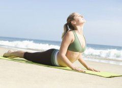 瑜伽知识/Knowledge