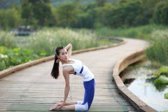 瑜伽知识/Knowledge