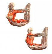 瑜伽知识/Knowledge