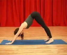 瑜伽知识/Knowledge