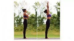 瑜伽知识/Knowledge