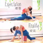 瑜伽知识/Knowledge