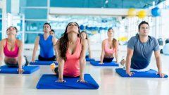 瑜伽知识/Knowledge