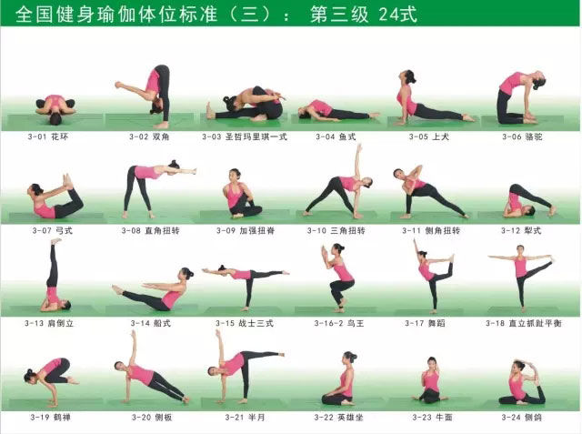 瑜伽体式大全 专业级瑜伽108式体位标准图7