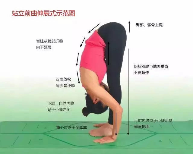瑜伽体式大全 专业级瑜伽108式体位标准图5