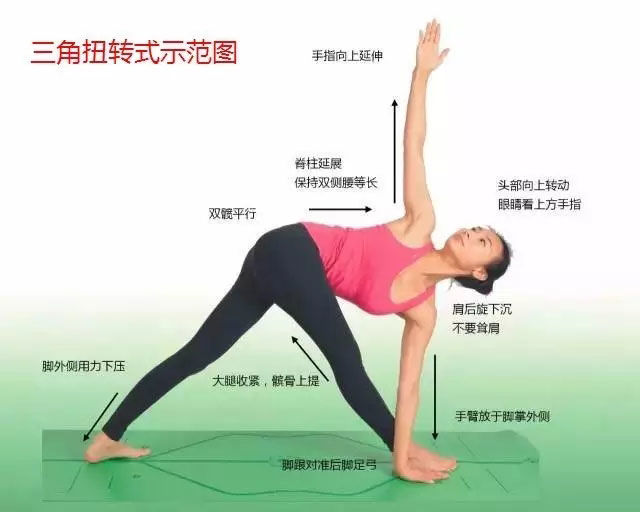 瑜伽体式大全 专业级瑜伽108式体位标准图20