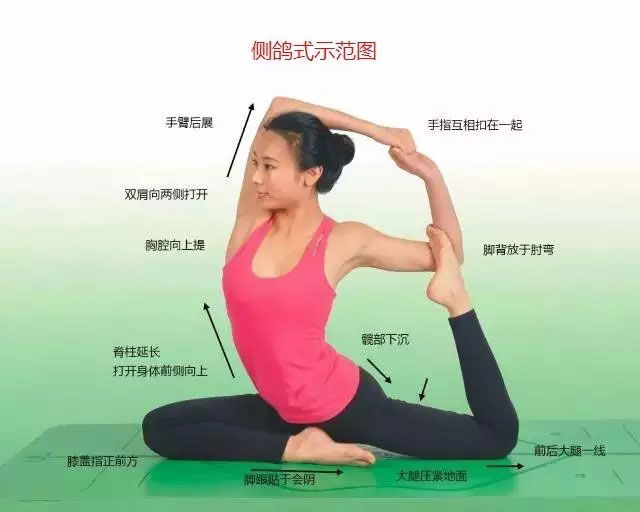 瑜伽体式大全 专业级瑜伽108式体位标准图17