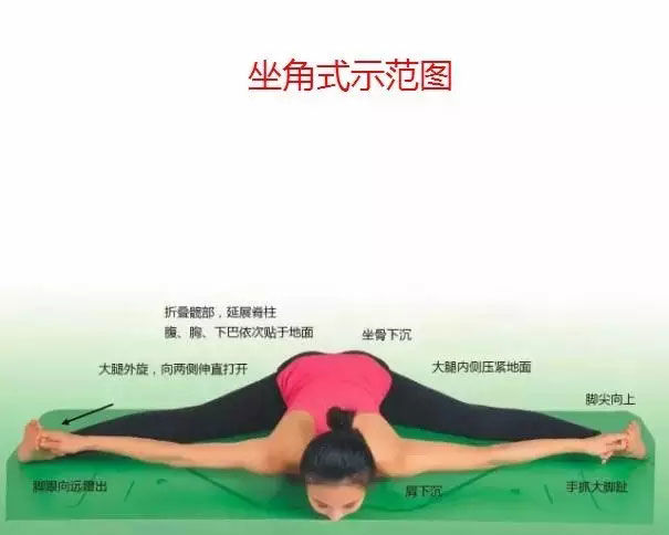 瑜伽体式大全 专业级瑜伽108式体位标准图16