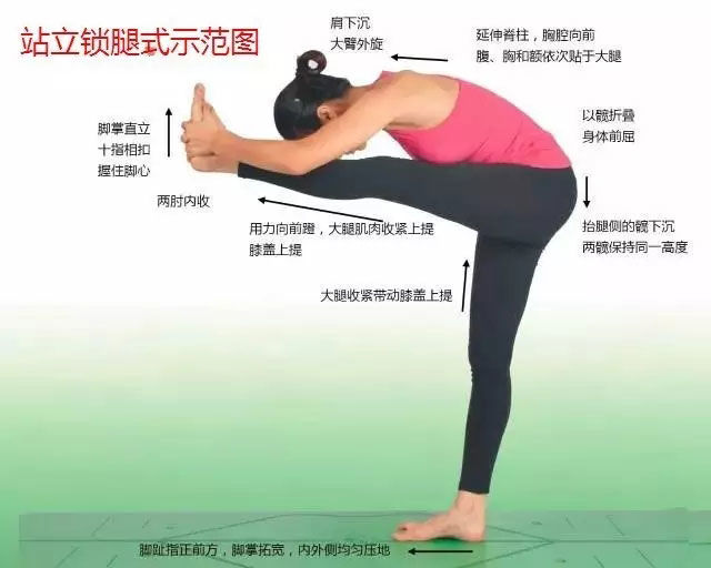 瑜伽体式大全 专业级瑜伽108式体位标准图15