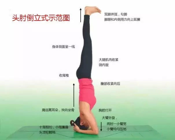 瑜伽体式大全 专业级瑜伽108式体位标准图14