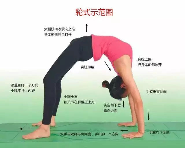 瑜伽体式大全 专业级瑜伽108式体位标准图13