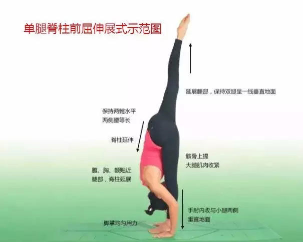 瑜伽体式大全 专业级瑜伽108式体位标准图12