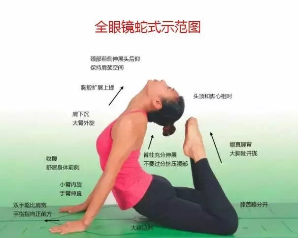 瑜伽体式大全 专业级瑜伽108式体位标准图10